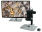 article image 2
