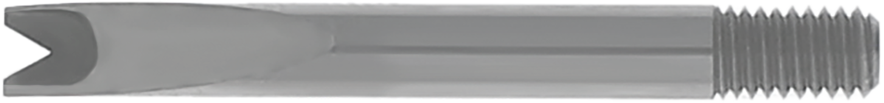 article image 2